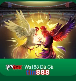 tin888