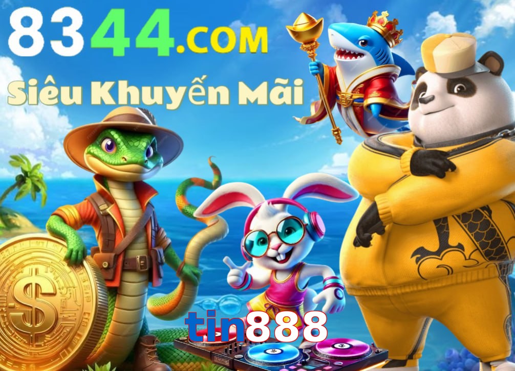 tin888